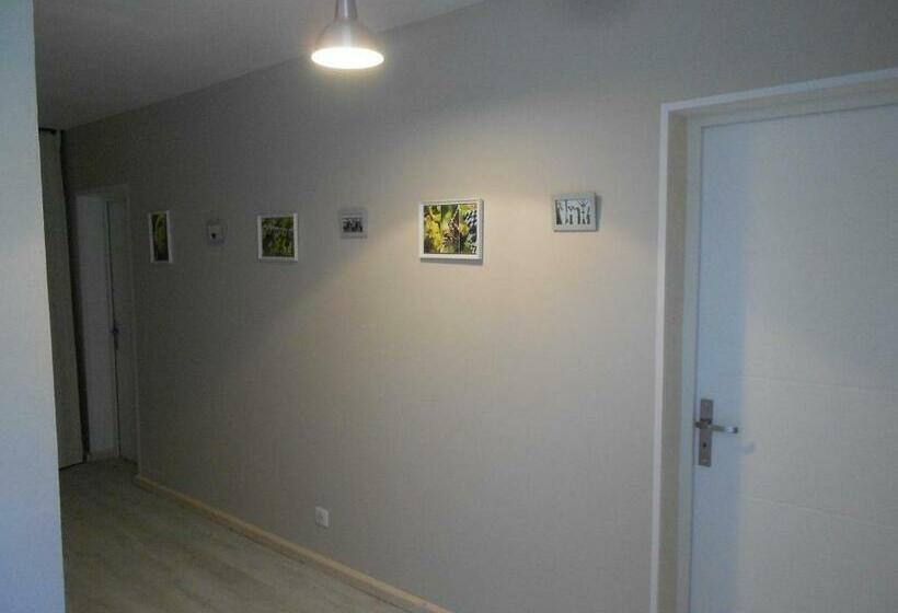 スタンダードルーム, Litdevin