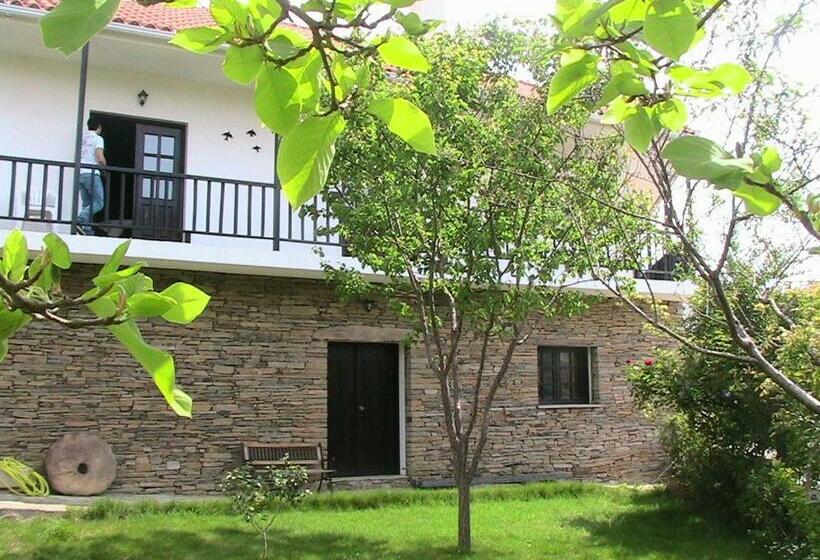 Дом 3 Спальни, Casa Oliveiras Do Douro