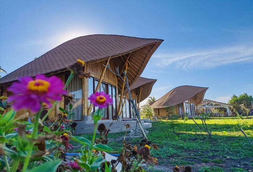 Номер Стандарт, Tanoma Sumba