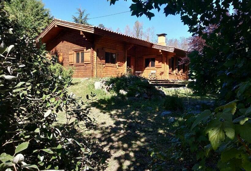 شاليه غرفة نوم واحدة, Beewood