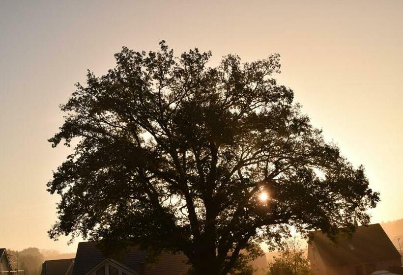 스탠다드 룸, Ferien Hohes Elbufer