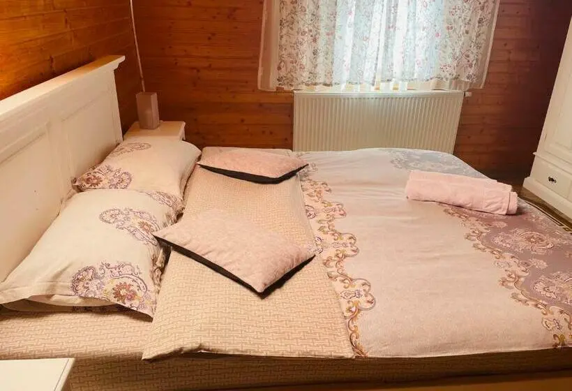 Standard-huone, Pensiunea Alexolar