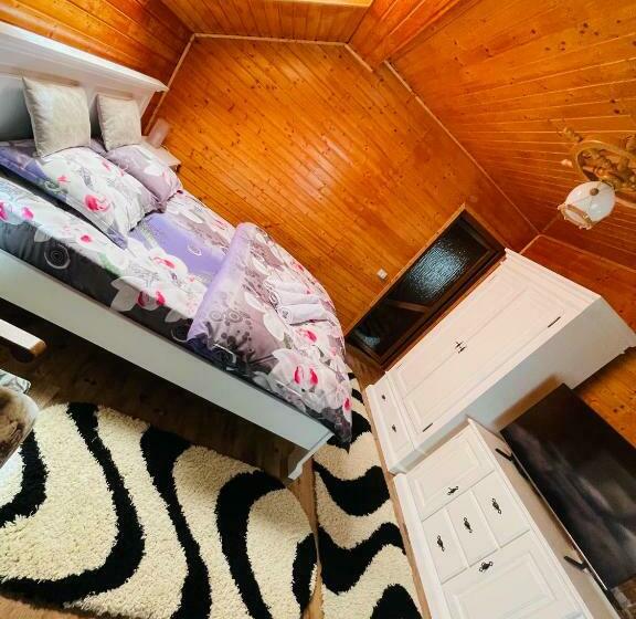 Номер Стандарт, Pensiunea Alexolar