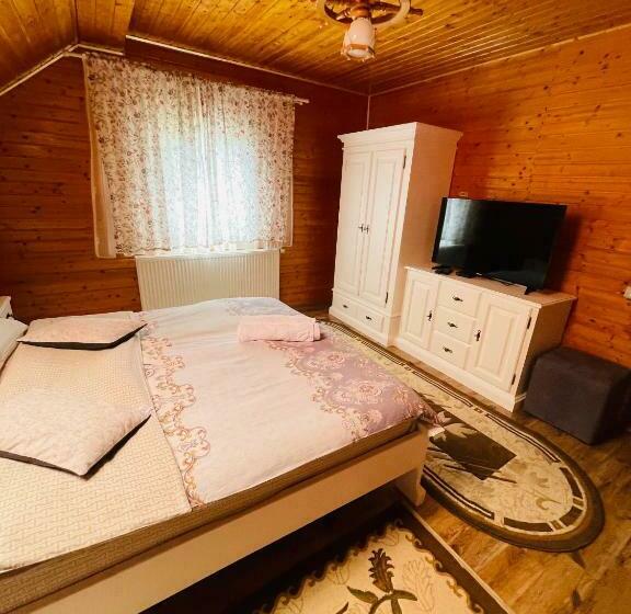 Номер Стандарт, Pensiunea Alexolar