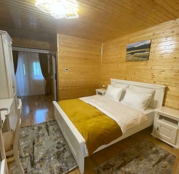 Номер Deluxe с Балконом, Pensiunea Alexolar