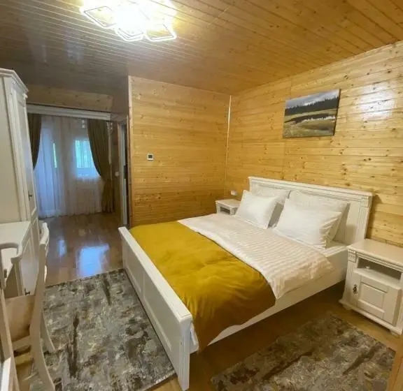 Deluxe-huone Parveke, Pensiunea Alexolar