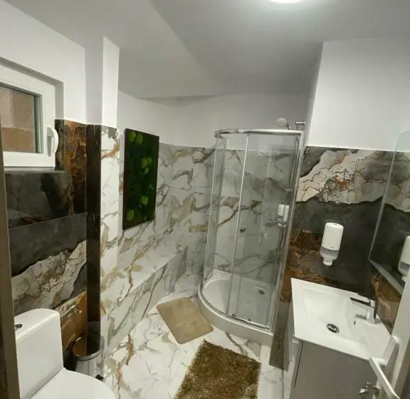 Deluxe-huone Parveke, Pensiunea Alexolar