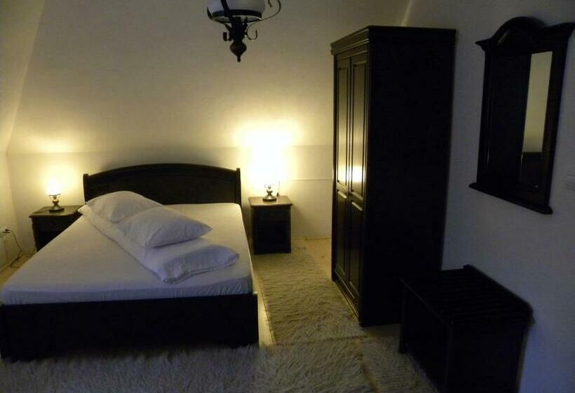 스탠다드 룸 산 전망, Pensiunea Irina