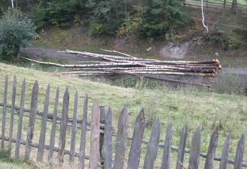 스탠다드 룸 산 전망, Pensiunea Irina