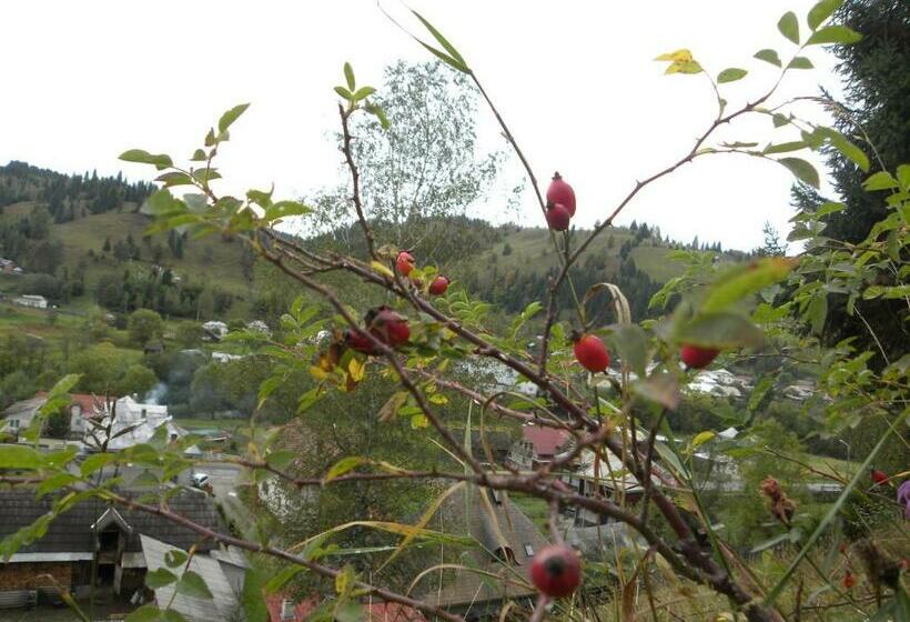 스탠다드 룸 산 전망, Pensiunea Irina