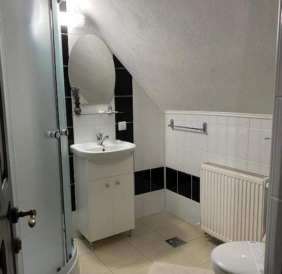 침실 2개 스위트, Pensiunea Irina