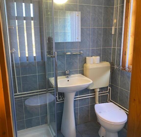 스탠다드 룸, Pensiunea Irina