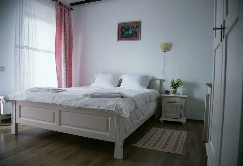 Standard-huone Terassi, Pensiunea Margareta