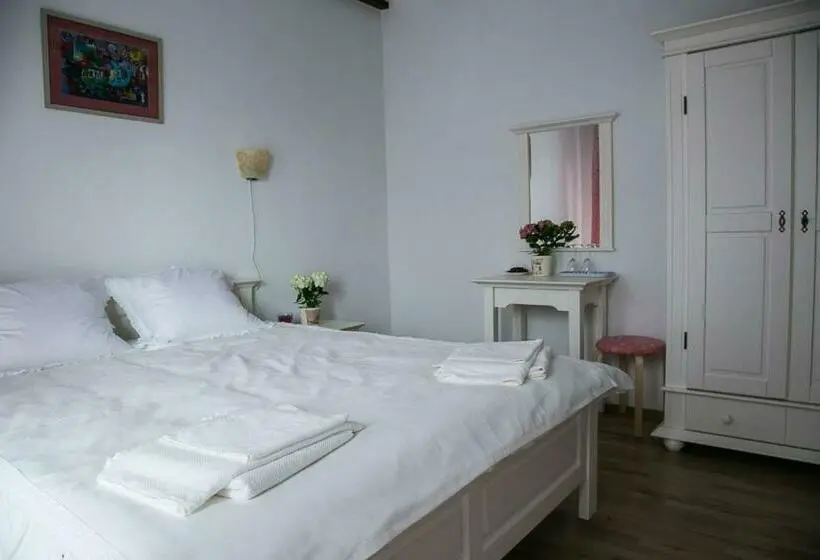 Standard-huone Terassi, Pensiunea Margareta