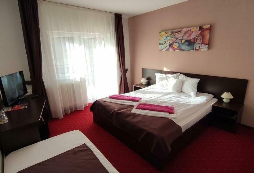 스탠다드 발코니 룸, Pensiunea Roua Muntilor