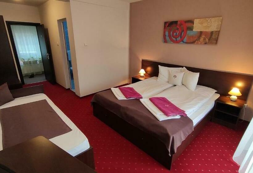 标准间带阳台, Pensiunea Roua Muntilor