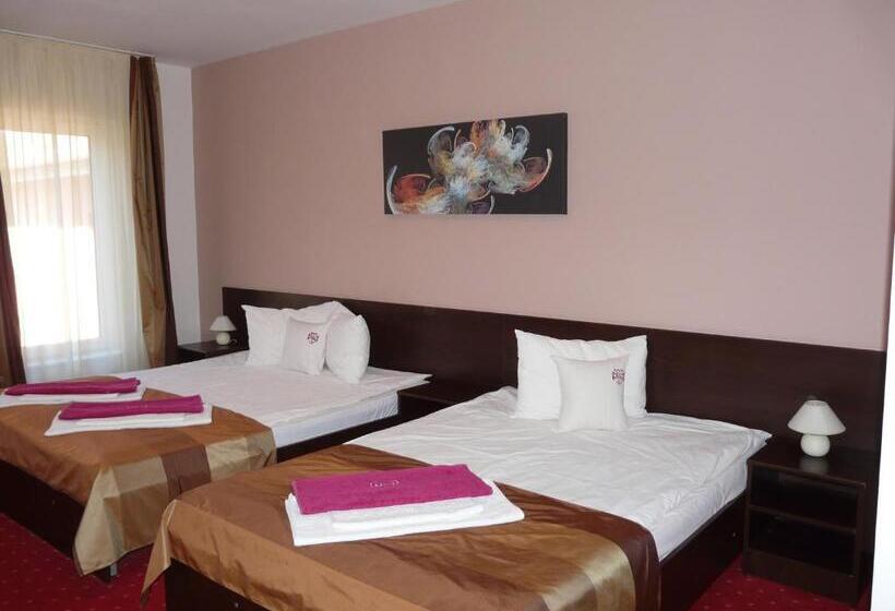 4인용 스탠다드 룸, Pensiunea Roua Muntilor