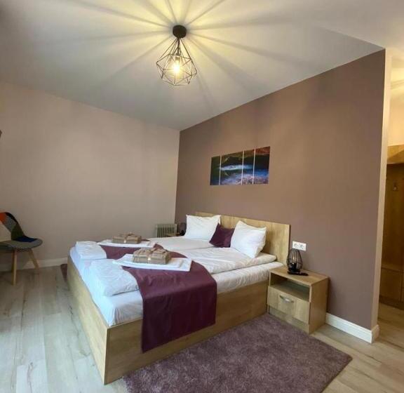 标准间, Pensiunea Roua Muntilor