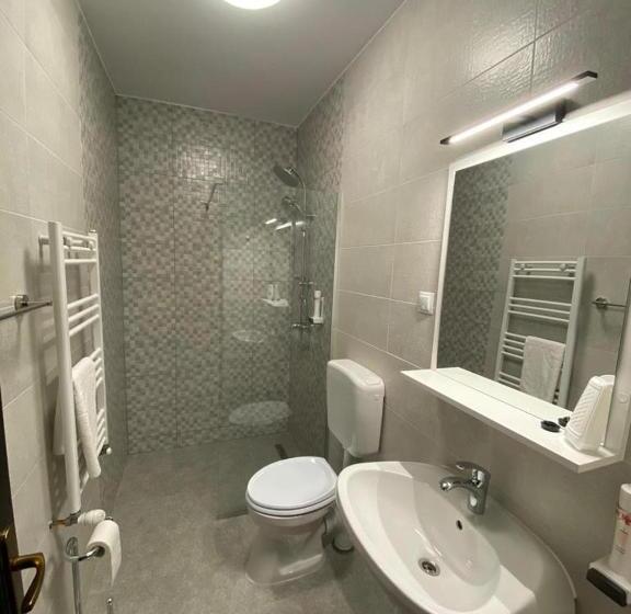 标准三人间, Pensiunea Roua Muntilor