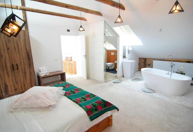 标准间带漩涡浴缸, Agropensiunea Maria