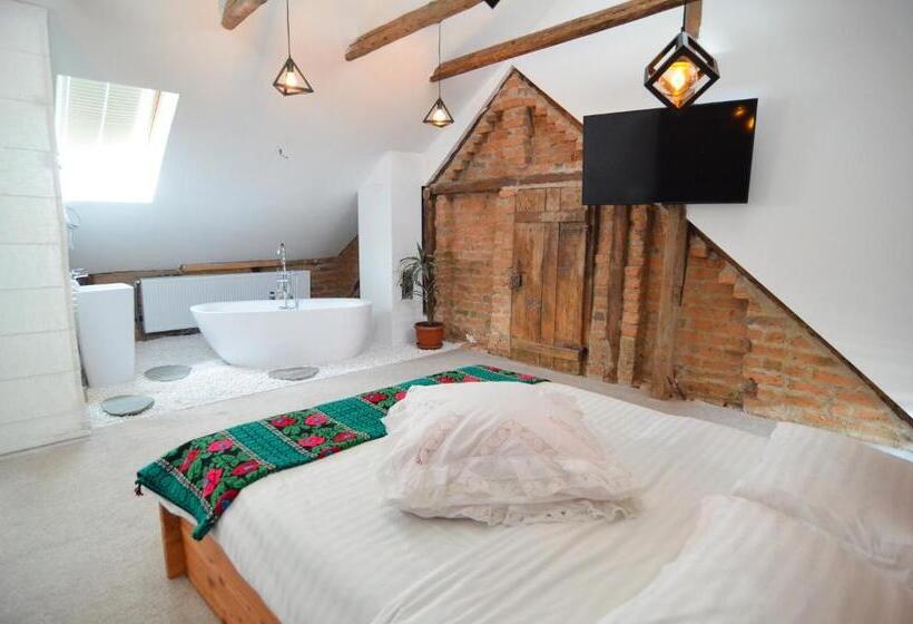 标准间带漩涡浴缸, Agropensiunea Maria