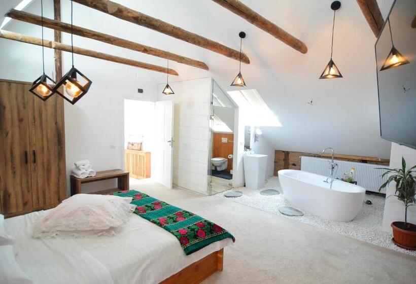 标准间带漩涡浴缸, Agropensiunea Maria