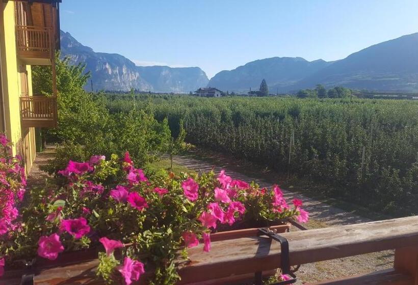 Номер Стандарт Индивидуальный, Agritur Clementi