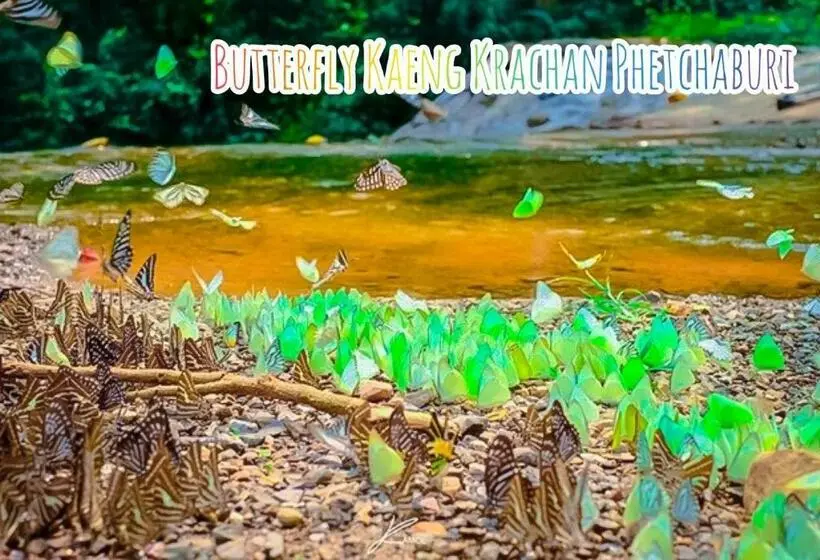 スタンダード４人部屋, Baan Rai Pray Rung Kaeng Krachan