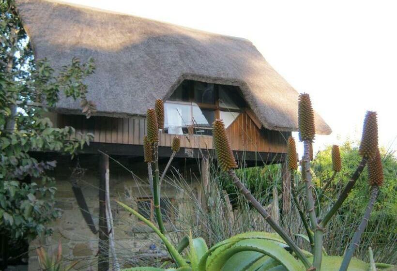 シャレー1寝室, Driftwood Treehouse