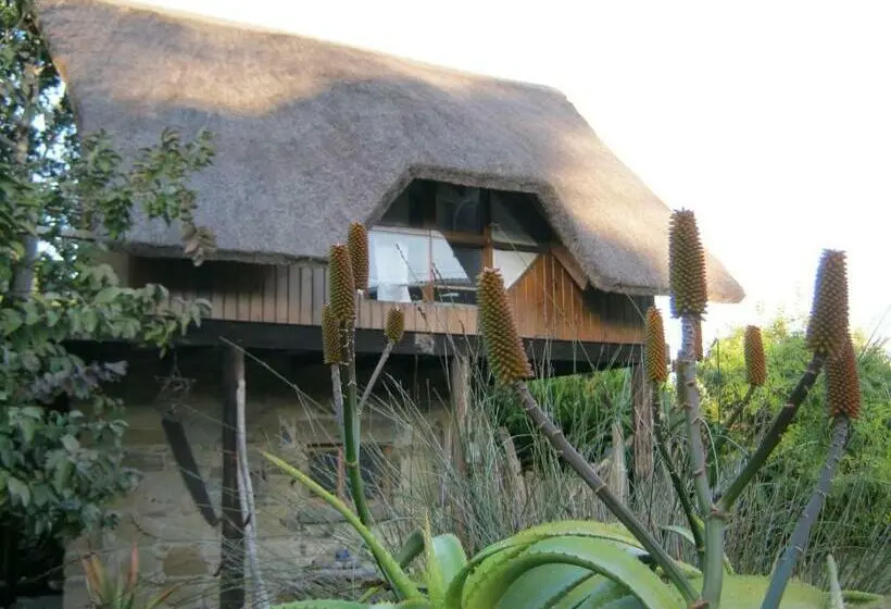 シャレー1寝室, Driftwood Treehouse