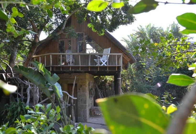 シャレー1寝室, Driftwood Treehouse