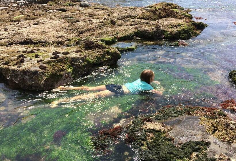 シャレー1寝室, Driftwood Treehouse