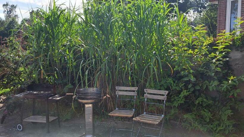 带共用浴室的标准房间, Schillers Landhaus