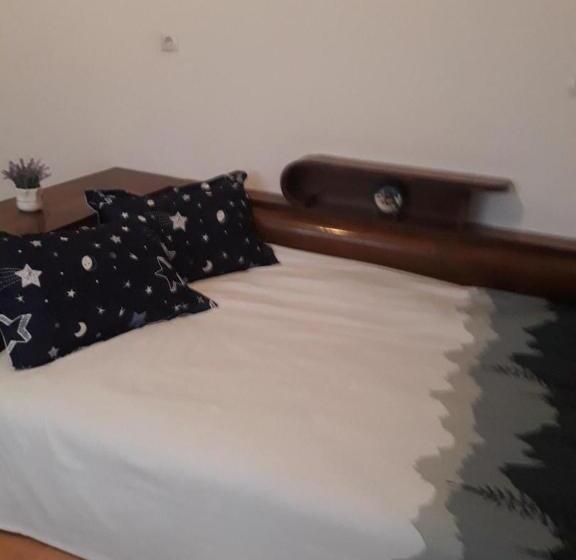 Номер Стандарт, Pensiunea Dodo