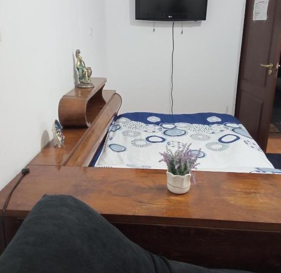 Номер Стандарт, Pensiunea Dodo