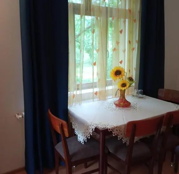 Comfort Kolmen Hengen Huone, Pensiunea Dodo