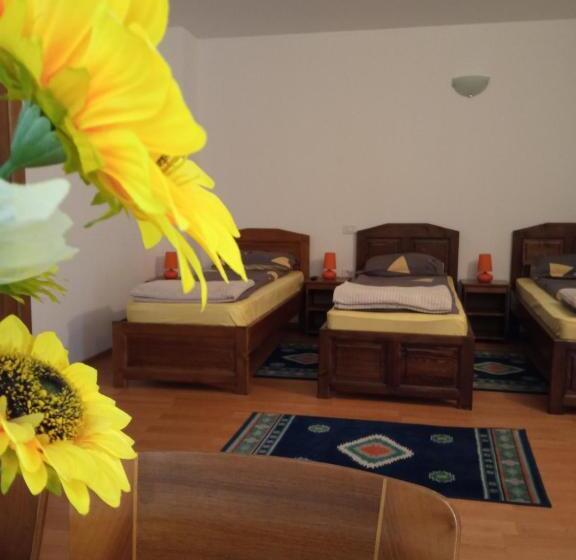 Трехместный Номер Комфорт, Pensiunea Dodo