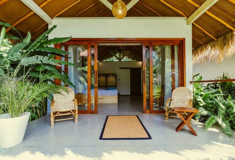 标准间带游泳池, The Jungalows