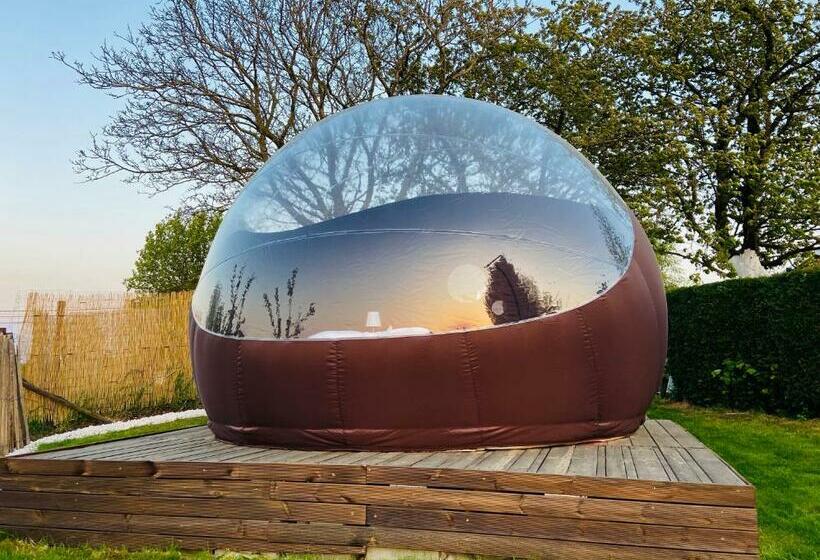 标准房带园景, Bulle D Evasion Silly Près De Pairi Daiza