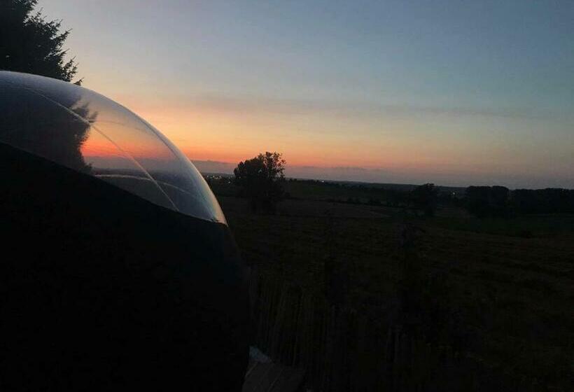 标准房带园景, Bulle D Evasion Silly Près De Pairi Daiza