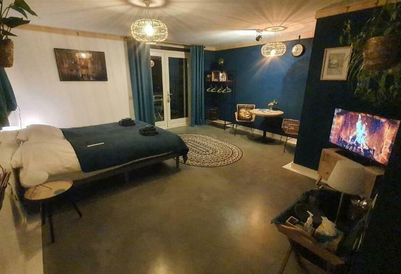 スタンダードルーム, De Remise