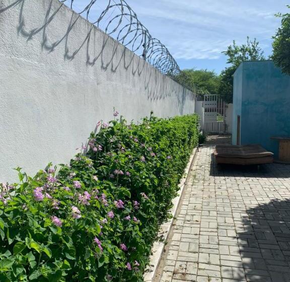 إستوديو قياسى, Pousada Vovó Haidê