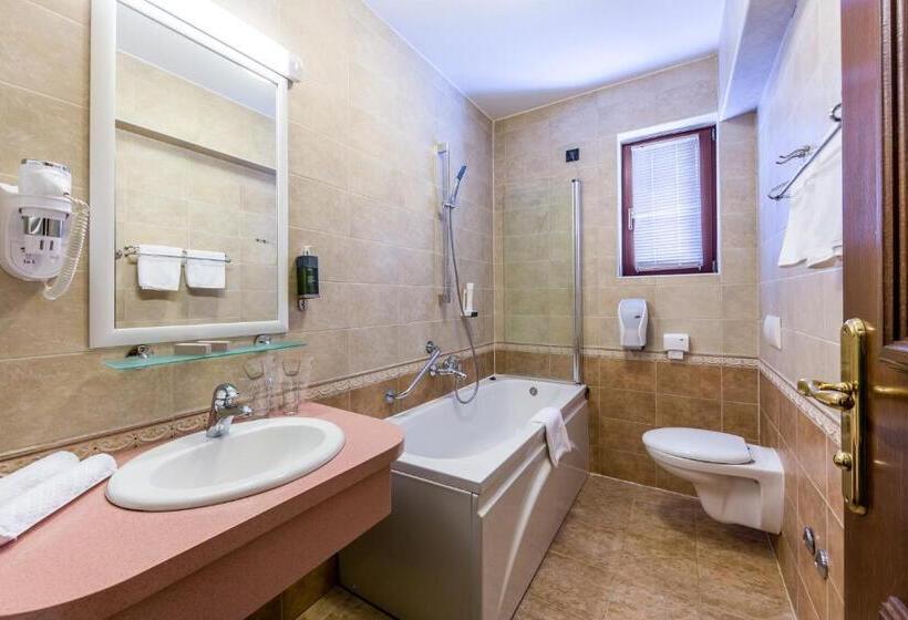 غرفة قياسية مطلة على الجبل, Bitoraj Fužine
