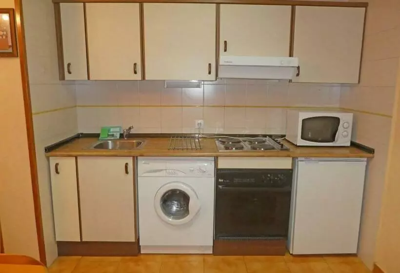 １ベッドルームアパートメント, Apartamentos Villanua 3000