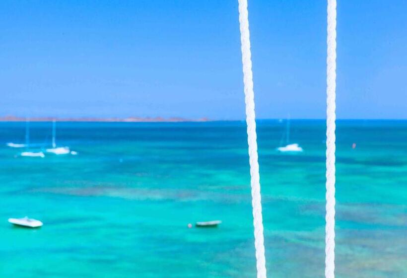 オーシャンビュースタンダードルーム, Avanti Lifestyle Hotel Only Adults