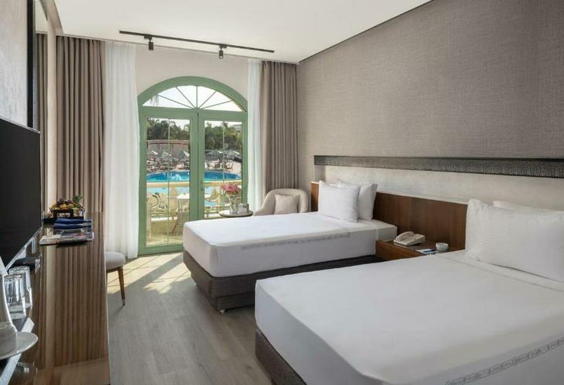 Номер Deluxe Вид на Бассейн, Al Masa Hotel Nasr City