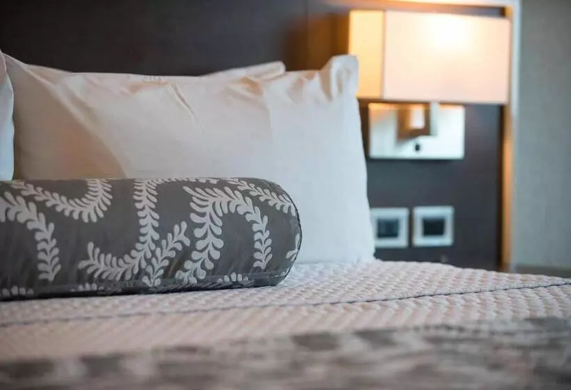 اتاق اجرایی با تخت بزرگ, Crowne Plaza Airport, An Ihg