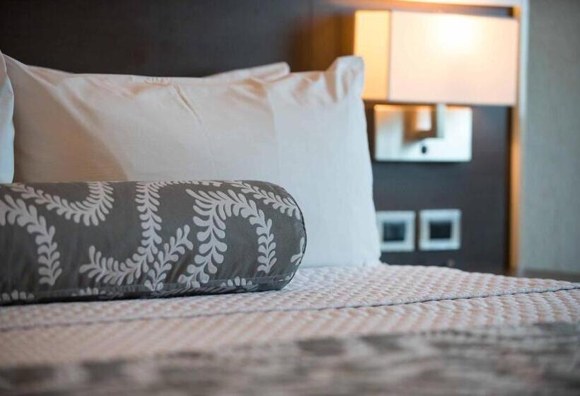 חדר דלוקס, Crowne Plaza Airport, An Ihg