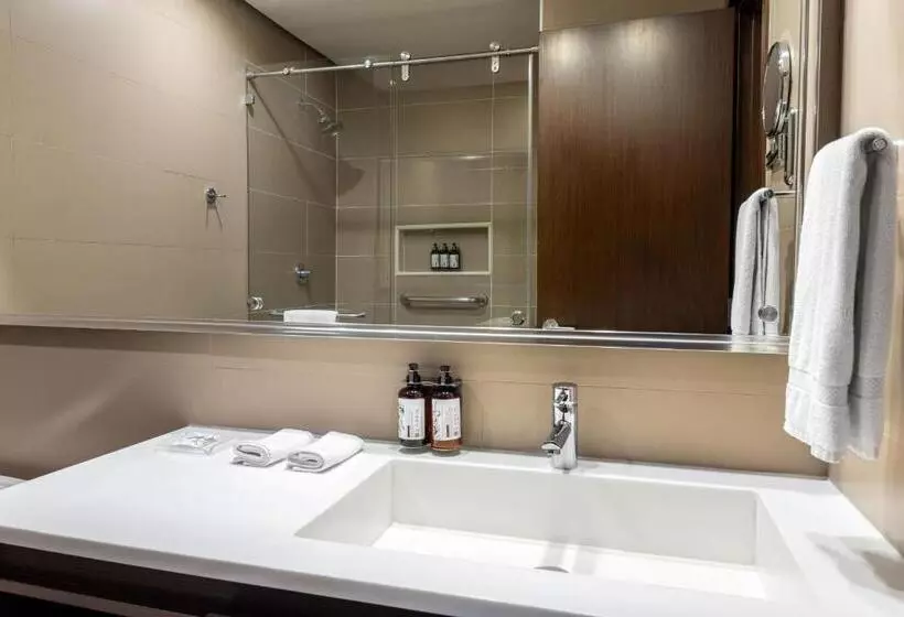 اتاق لوکس با تخت بزرگ, Crowne Plaza Airport, An Ihg