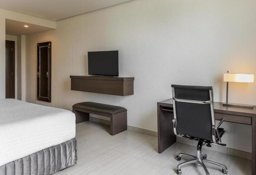 장애인을 위한 스탠다드 룸, Crowne Plaza Airport, An Ihg